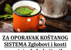 SAVJET ZA OPORAVAK KOŠTANOG SISTEMA: Zglobovi i kosti prestaju da bole čim ih očistite od soli- EVO NA KOJI NAČIN!