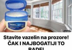 Stavite vazelin na prozore! ČAK I NAJBOGATIJI TO RADE! Bit ćete oduševljeni! (FOTO)