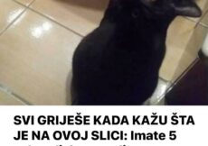 SVI GRIJEŠE KADA KAŽU ŠTA JE NA OVOJ SLICI: Imate 5 sekundi da pogodite, samo 2% ljudi uspije iz prve (FOTO)