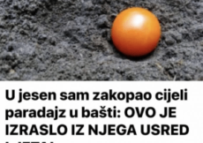 U jesen sam zakopao cijeli paradajz u bašti: EVO ŠTA JE IZRASLO IZ NJEGA USRED LJETA! (FOTO)