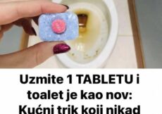 Uzmite 1 TABLETU i toalet će biti kao nov: Ovaj kućni trik sigurno do sada NISTE znali! (FOTO)