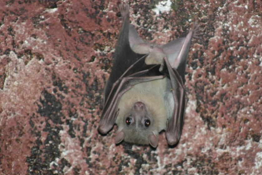 “Kćerka mog muža iz prvog braka…”