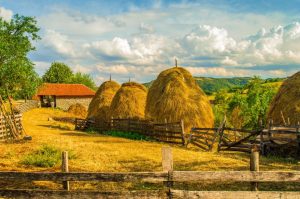 Miloš je posle 64 godine došao u Srbiju i saznao neverovatnu isitnu o sebi: Sve je počelo od pisma jedne Sanje kojoj je baka otkrila fascinantnu priču