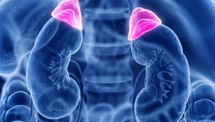 NADBUBREŽNA ŽLIJEZDA MOŽE DA RAZORI CIJELI ORGANIZAM: Simptomi koje nikako ne smijete da ignorišete!