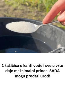 1 kašičica u kanti vode i sve u vrtu daje maksimalni prinos: SADA mogu prodati urod!