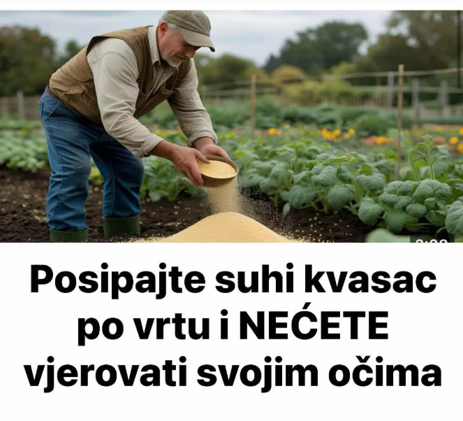 Posipajte suhi kvasac po vrtu i NEĆETE vjerovati svojim očima