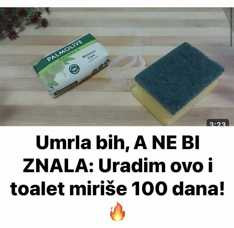 Umrla bih, A NE BI ZNALA: Uradim ovo i toalet miriše 100 dana!🔥