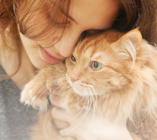 Mačka je u stanju da isceli sve bolesti: Ovako štiti porodicu od nesreće!