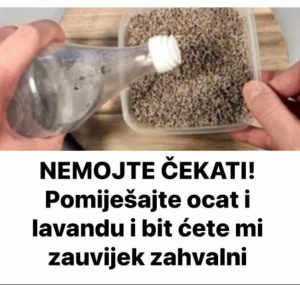 NEMOJTE ČEKATI! Pomiješajte ocat i lavandu i bit ćete mi zauvijek zahvalni