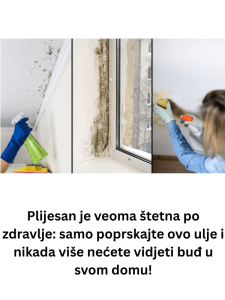 Plijesan je veoma štetna po zdravlje: samo poprskajte ovo ulje i nikada više nećete vidjeti buđ u svom domu!