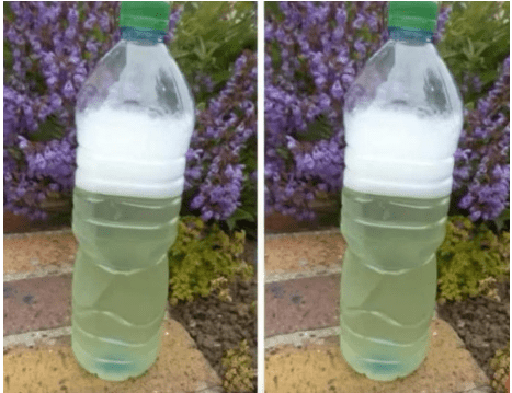 Sredstvo za ubijanje korova za par centi – očistilo je beton, terasu i cijelu baštu: ISPROBANO I NAJJAČE, NE MOGU GA ODLOŽITI!