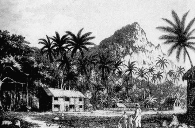 Adam je živeo sam sa 10 žena i 30 dece na ostrvu decenijama, ljudu u neverici slušaju kako se ponašao prema suprugama: Evo šta se s njima desilo kad su ih našli