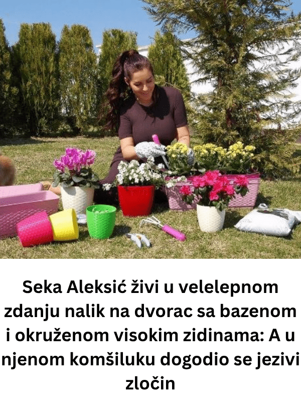 Seka Aleksić živi u velelepnom zdanju nalik na dvorac sa bazenom i okruženom visokim zidinama: A u njenom komšiluku dogodio se jezivi zločin