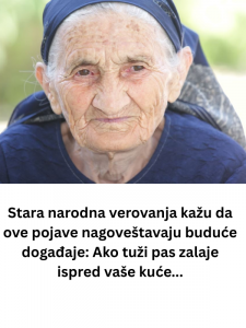 Stara narodna verovanja kažu da ove pojave nagoveštavaju buduće događaje: Ako tuđi pas zalaje ispred vaše kuće…