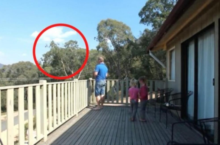 UHVAĆEN JE SA ĆERKAMA NA BALKONU, MAJKA ODMAH IZLETJELA: Vrištali su dok su to radili…