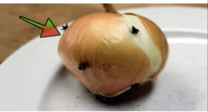 Zabio sam karanfilić u luk: Zahvaljujući tome, cijelo ljeto nemam problema ni sa jednim insektom!