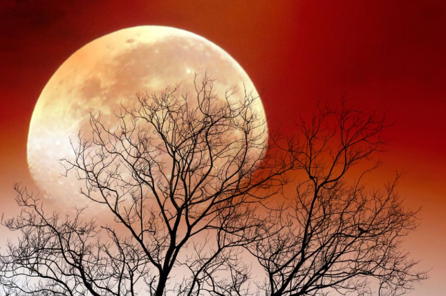 3 Mesečeva rituala koji se izvode u noći punog meseca: U ponoć zamislite samo jednu želju