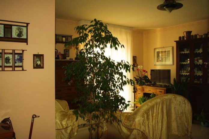 6 stvari koje ne treba poklanjati: Veruje se da ovo ni u ludilu ne treba iznositi iz kuće