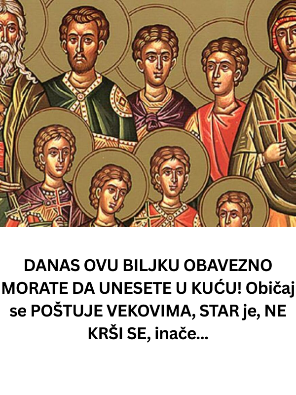 DANAS OVU BILJKU OBAVEZNO MORATE DA UNESETE U KUĆU! Običaj se POŠTUJE VEKOVIMA, STAR je, NE KRŠI SE, inače…