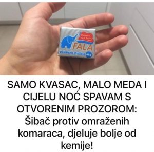 SAMO KVASAC, MALOMEDA I CIJELU NOĆ SPAVAM S OTVORENIM PROZOROM: Šibač protiv omraženih komaraca, djeluje bolje od kemije!