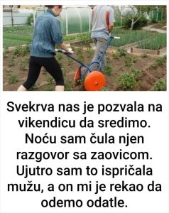 Svekrva nas je pozvala na vikendicu da sredimo. Noću sam čula njen razgovor sa zaovicom. Ujutro sam to ispričala mužu, a on mi je rekao da odemo odatle.