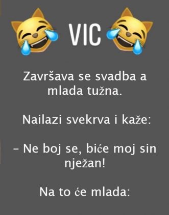 VIC DANA: Svekrva i snaja