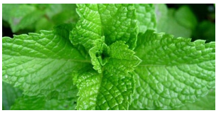 Pijem 0vo čudo već dvije sedmice umjesto obične vode: Nakon 50