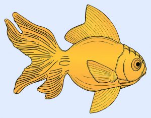 TEST: Prva životinja koju ugledate otkriva kakvu osobnost imate!