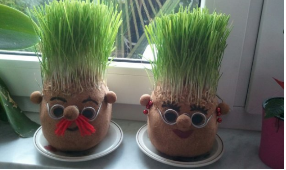 Ako se božićna pšenica P0SADI NA 0VAJ DAN, kuća će biti blagoslovena cijele godine- URADITE TO NA VREME…