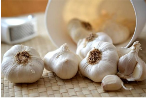 Bijeli luk ne smije svako jesti, iako je zdrav – evo kojih 5 grupa ljudi ga ne smiju ni pogledati, a kamoli jesti!