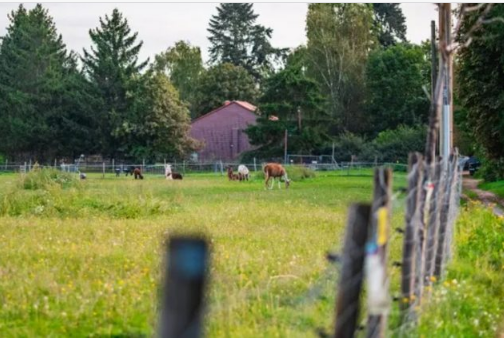 Moja sestra se smejala meni jer sam se udala za „običnog seljaka“, dok je njen muž bio uspešan finansijer.