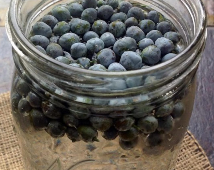 NAJJAČI PRIRODNI LIJEK ZA ŠEĆERNU BOLEST: Obavezno zabilježite recept jer je njegova priprema jako jednostavna…