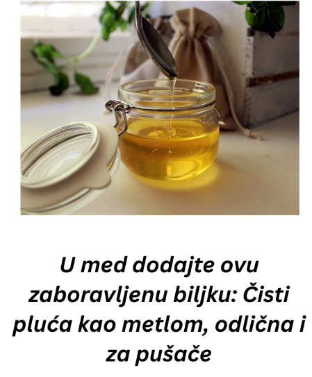U med dodajte ovu zaboravljenu biljku: Čisti pluća kao metlom, odlična i za pušače