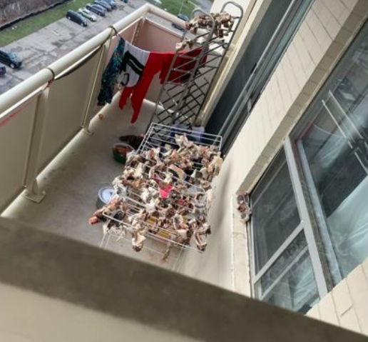 “Viđao sam ljude koji svašta rade na terasi, ali ovo još nisam: Kad sam komšiji ispod pokazao šta mu to smrdi i curi od stanara iznad, zabezeknuo se”