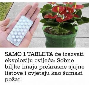 AKO VAM U KUĆI NED0STAJU SREĆA I NOVAC: 0dmah okačite ovaj predmet iznad vrata ispovijest