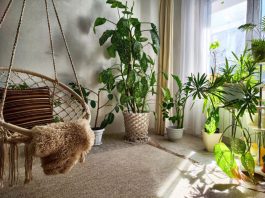 Luksuz u malom prostoru: Tajna uređenja zelenog ugla u dnevnoj sobi o kom svi pričaju