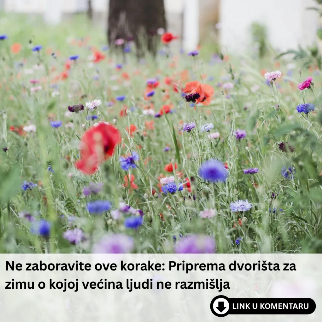 Ne zaboravite ove korake: Priprema dvorišta za zimu o kojoj većina ljudi ne razmišlja