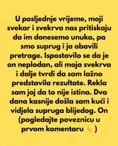 Odbila sam biti kriva što svojoj svekrvi nisam dala unuka, ali ona je skrivala nešto veliko.