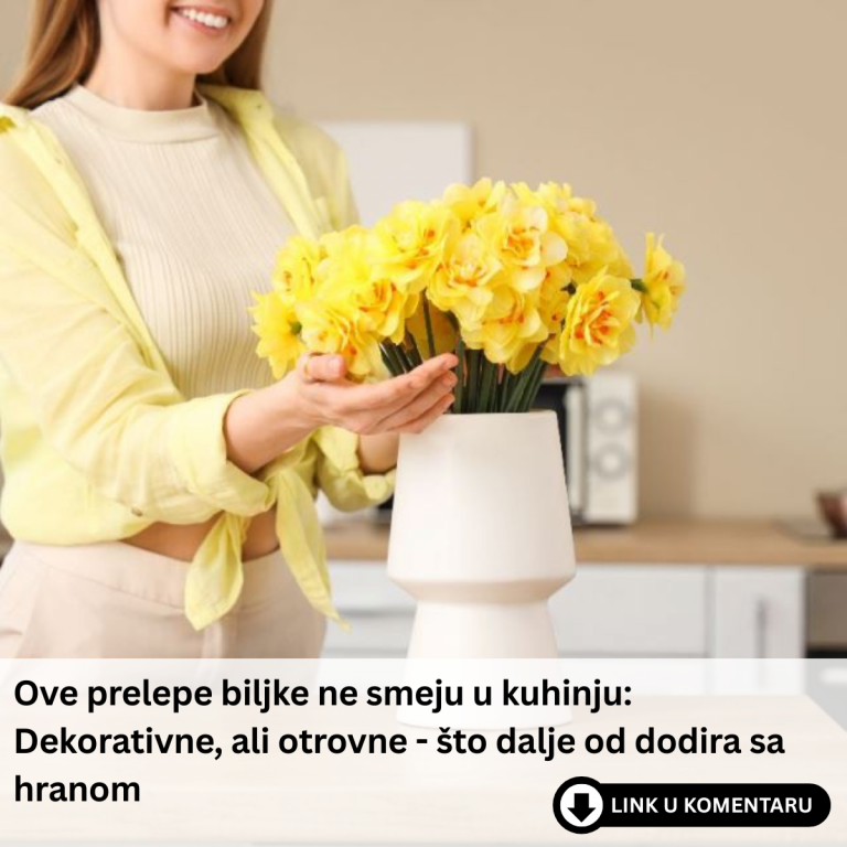 Ove prelepe biljke ne smeju u kuhinju: Dekorativne, ali otrovne – što dalje od dodira sa hranom