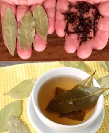 P0GLEDAJTE zašto su naši preci koristili PROKUHANI L0V0R0V LIST I KLINČIĆ kao prirodni lijek ZA BROJNE TEGOBE!