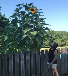 Prvi put joj se desilo tokom porođaja, a drugi kada je doživela saobraćajku: Žena koja tvrdi da se vratila iz mrtvih, ispričala je šta nas čeka posle smrti