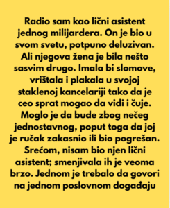 Radio sam kao lični asistent jednog milijardera. On je bio u svom svetu, potpuno deluzivan