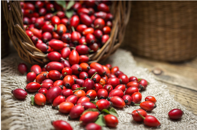 Recept za vino od ŠIPKA – Drevni „vitaminski eliksir“